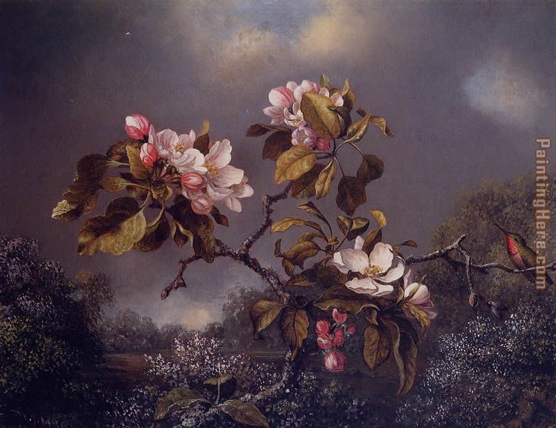 Apple Blossoms and Hummingbird  2